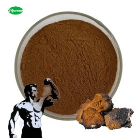 Chaga Mushroom Extract - Manufacturer - 30% Polysaccharides Halal Kosher GMO Free