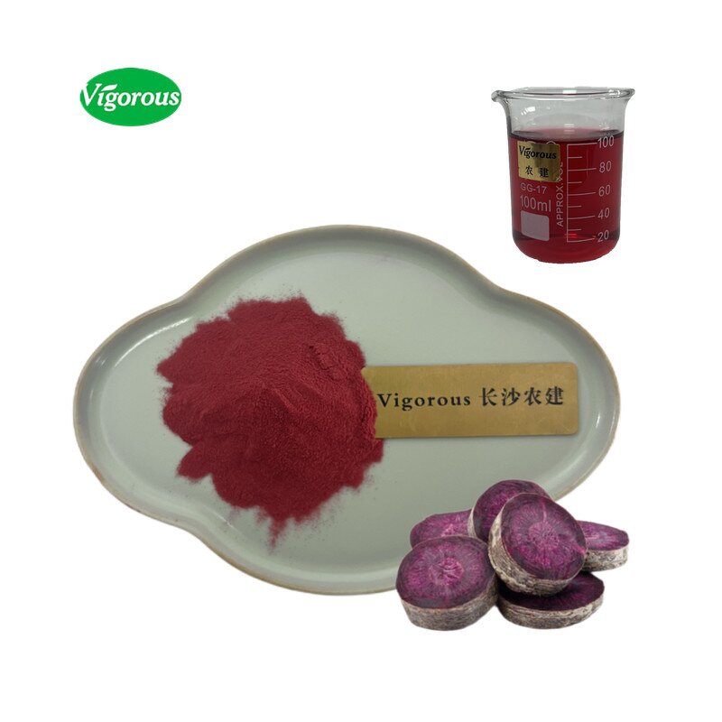 Black Carrot Juice Powder - Manufacturer - Daucus Carota L. Pure Healthy Natural Powder