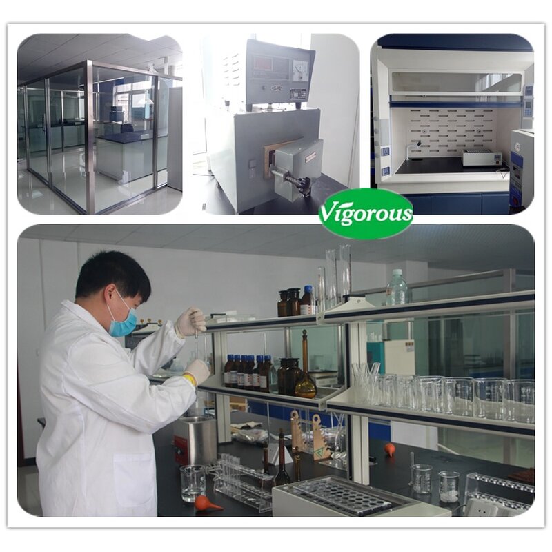 Wild Yam Extract - Manufacturer - 10:1 Pure Natural Plant Extract Powder High Quality