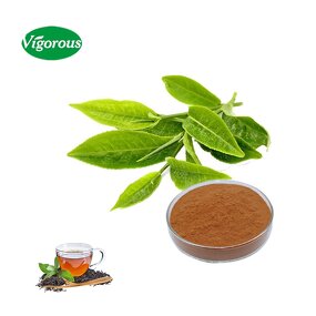 Instant Green Tea Powder - Manufacturer - 20% Polyphenols Organic Camellia Sinensis