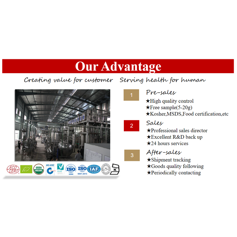 Cissus Quadrangularis - Manufacturer - Leaf Extract Kosher Halal Certified Free Sample