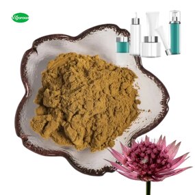 Astrantia Major Extract - Manufacturer - 10:1 Pure Natural Free Sample Factory Supply