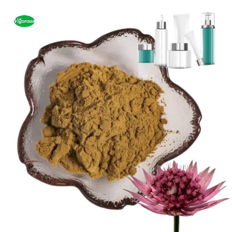Astrantia Major Extract - Manufacturer - 10:1 Pure Natural Free Sample Factory Supply