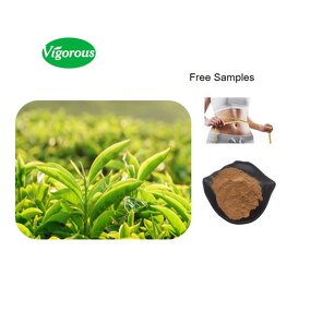 Green Tea Extract - Manufacturer - 98% Polyphenols High Purity Free Sample Cheap