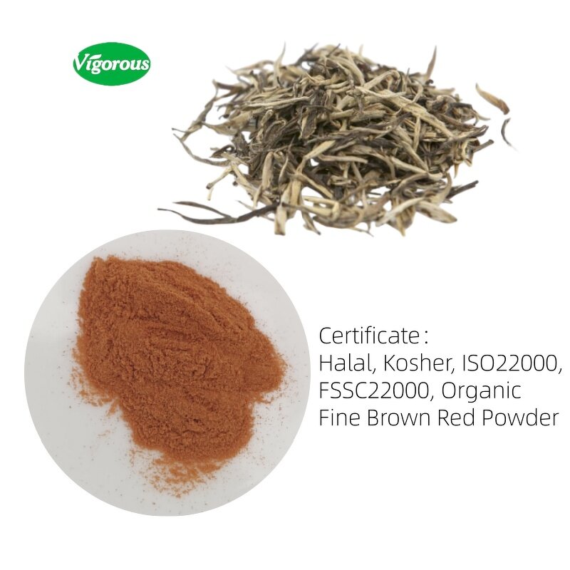 White Tea Extract Powder - Manufacturer - Camellia Sinensis Leaf Extract Free Sample