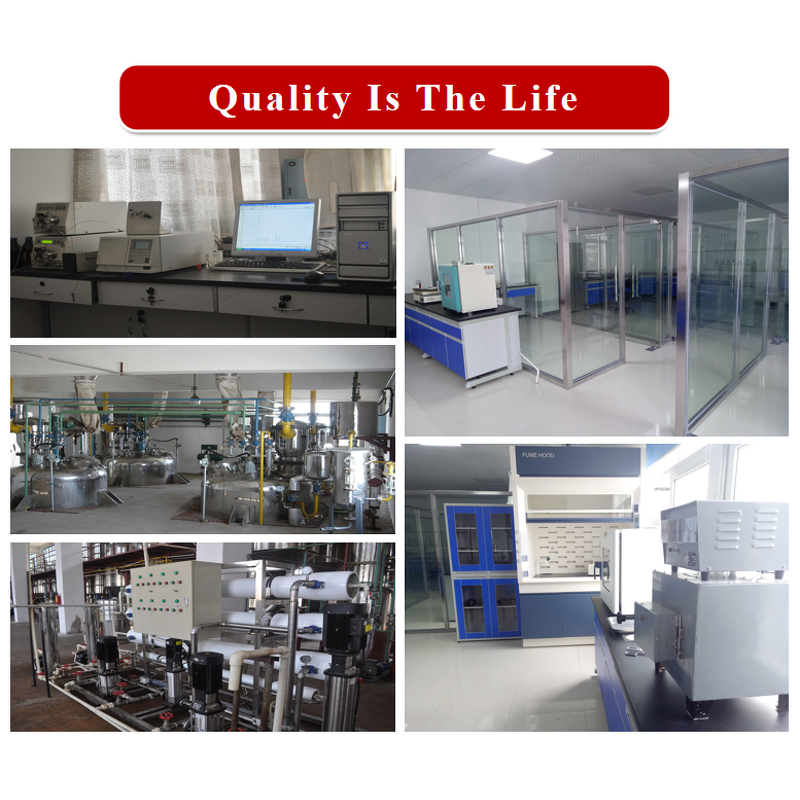 Astrantia Major Extract - Manufacturer - 10:1 Pure Natural Free Sample Factory Supply