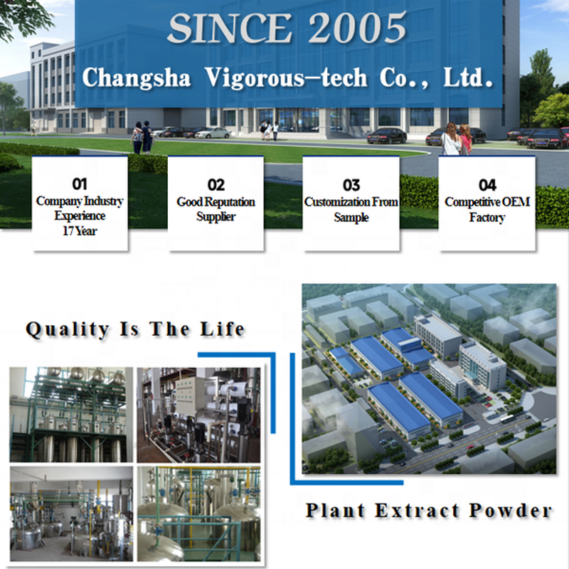 Shiitake Mushroom Extract - Manufacturer - 30% Polysaccharides Pure Direct Supplier