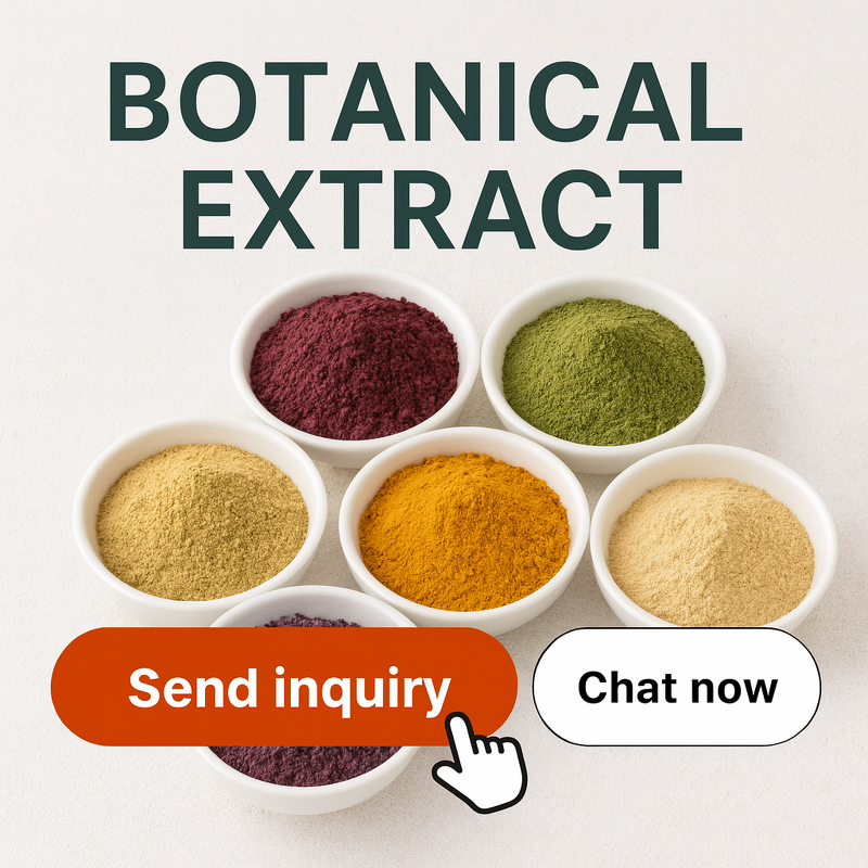 Senna Leaf Extract - Manufacturer - Cassia Angustifolia Sennoside A+B Slim Food