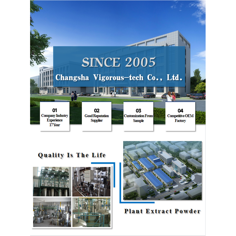 Cistanche Extract - Manufacturer - 40% Phenylethanoid 8% Echinacoside Tubulosa