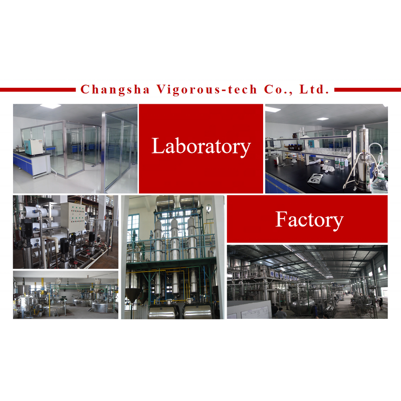 Raspberry Powder - Manufacturer - Natural High Quality Pure Fruit Extract Free Sample