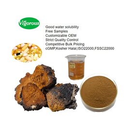 Chaga Mushroom Extract - Manufacturer - FSSC22000 30% Polysaccharides Wholesale Price