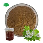 Bacopa Monniera Extract - Manufacturer - 20%-50% Bacopaside Direct Factory Supplier
