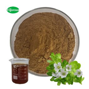 Bacopa Monniera Extract - Manufacturer - 20%-50% Bacopaside Direct Factory Supplier