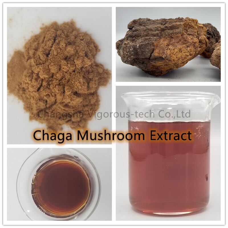 Chaga Mushroom Extract - Manufacturer - 30% Polysaccharides Halal Kosher GMO Free