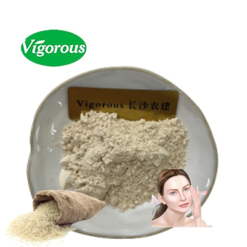 Rice Powder - Manufacturer - FSSC22000 Certificated High Grade Free Sample Pure