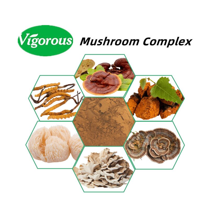 Shiitake Mushroom Extract - Manufacturer - 30% Polysaccharides Pure Direct Supplier
