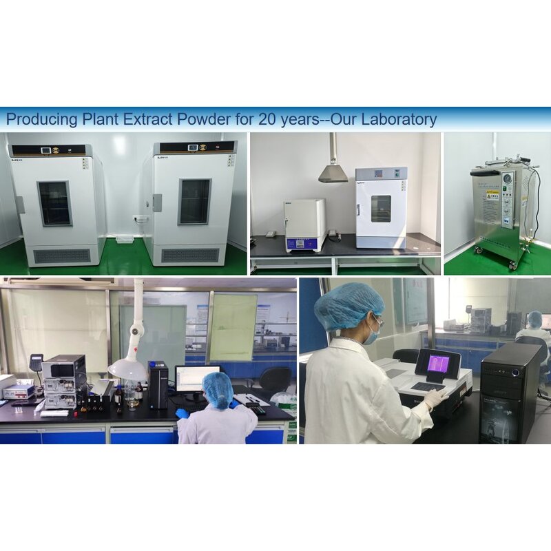 Butterfly Pea Flower Powder - Manufacturer - OEM Bulk Organic Natural Plant Extract