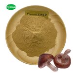 Shiitake Mushroom Extract - Manufacturer - 30% Polysaccharides Pure Direct Supplier
