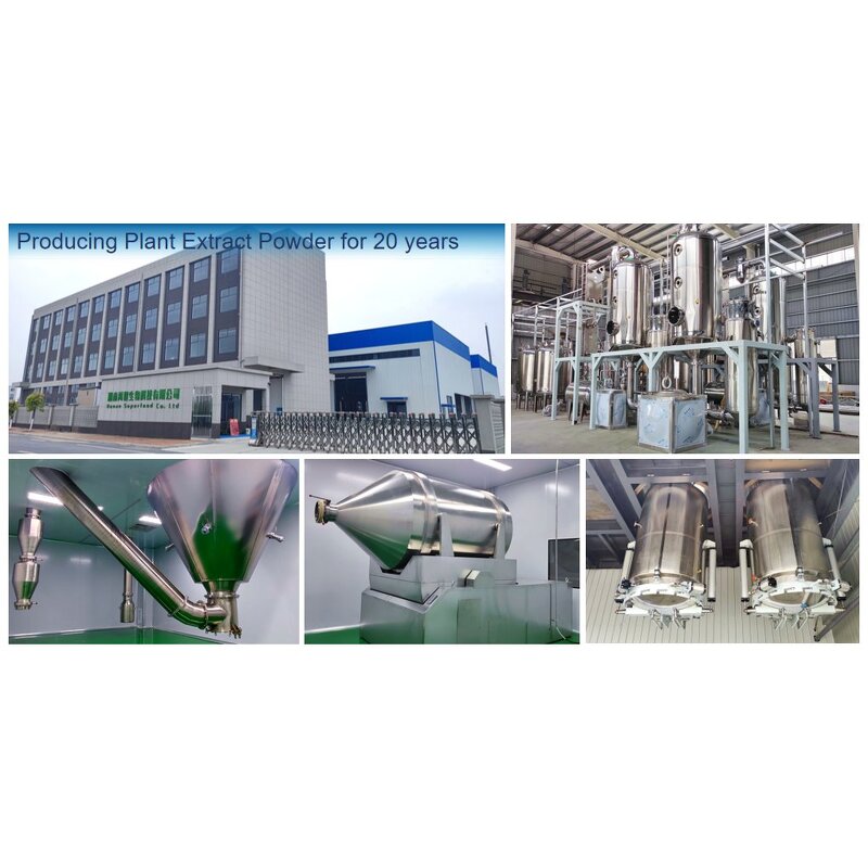 Fomitopsis Officinalis Extract - Manufacturer - 30% Polysaccharides Agarikon Mushroom