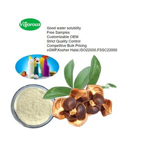Tea Saponin Powder - Manufacturer - FSSC22000 90% Camelia Oleifera Seed Extract