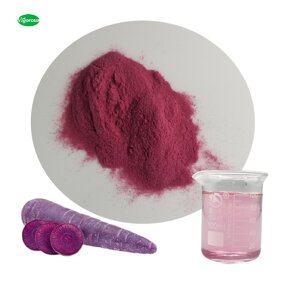 Black Carrot Juice Powder - Manufacturer - Daucus Carota L. Pure Healthy Natural Powder