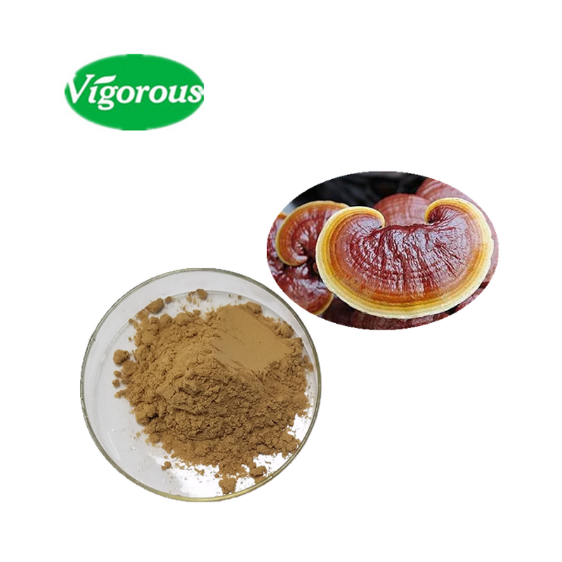 Reishi Lion's Mane Extract - Manufacturer - 30% Polysaccharides Dual Mushroom Powder