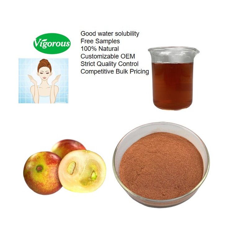 Camu Camu Powder - Manufacturer - FSSC22000 20% Vitamin C Food Grade Extract