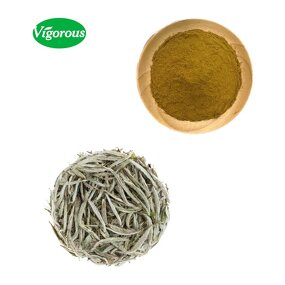 White Tea Extract - Manufacturer - 90% Polyphenols Water Soluble Camellia Sinensis
