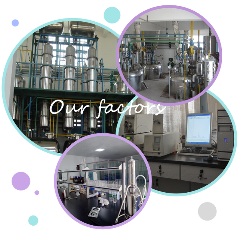 Rice Protein Powder - Manufacturer - 80% Hydrolyzed Oryza Sativa Pure Healthy Natural