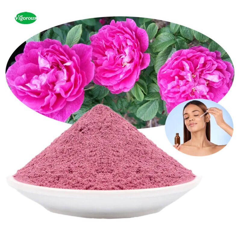 Rose Extract Powder - Manufacturer - Organic Pure Rosa Rugosa Instant Flower Powder