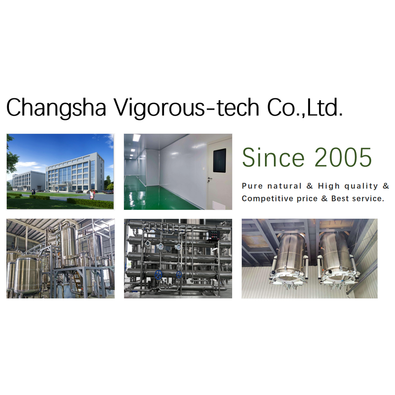 Rice Powder - Manufacturer - FSSC22000 Certificated High Grade Free Sample Pure