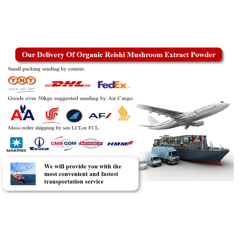 Reishi Spore Powder - Manufacturer - 98% Ganoderma Lucidum Shell Broken Pure