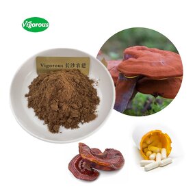 Reishi Mushroom Extract - Manufacturer - Organic GMP Ganoderma Lucidum Powder Pure