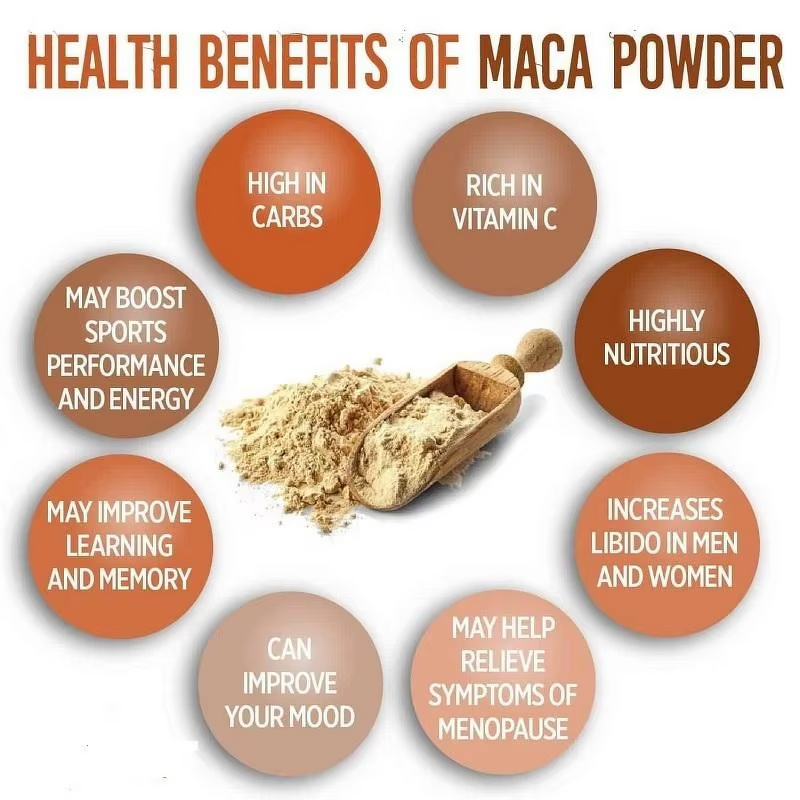 Maca Root Capsule - Manufacturer - OEM High Potency Powder Mood Energy Reproduction