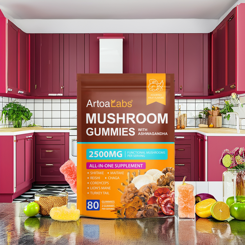 Mushroom Extract Gummies Manufacturer - ArtoaLabs Wholesale Vegan Lion's Mane & Reishi for Focus