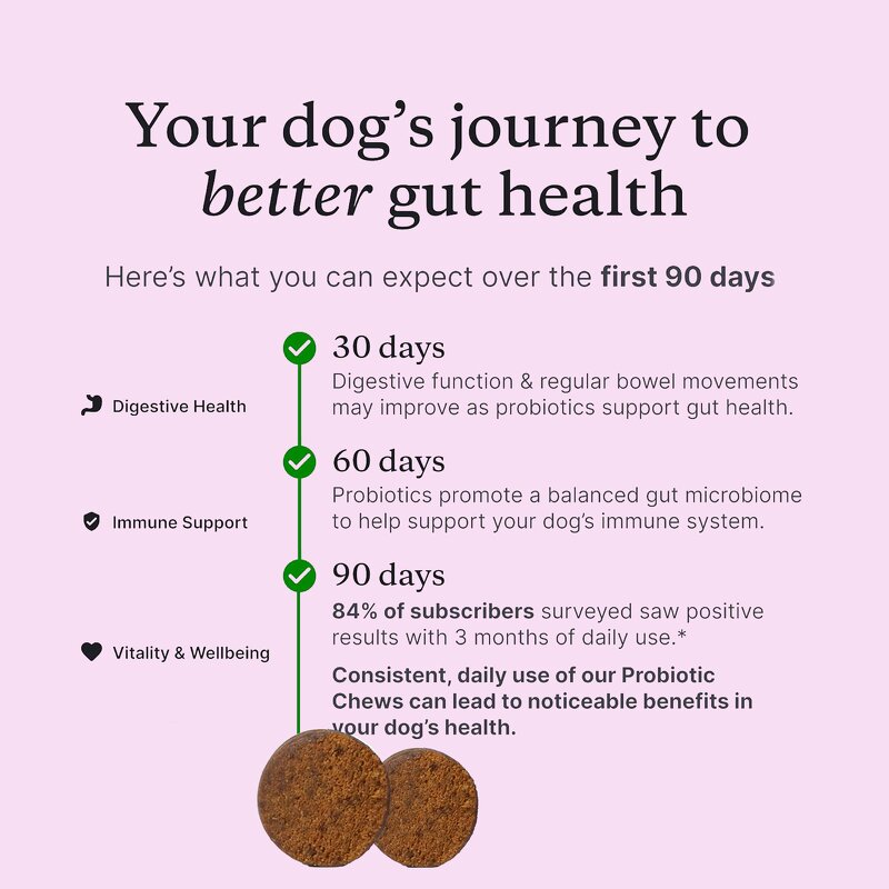 Dog Probiotic Chews - Manufacturer - OEM Salmon Flavor Intestinal Digestive Support