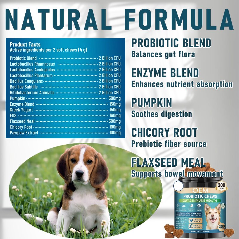 Dog Probiotic Chews - Manufacturer - Pumpkin 6 Probiotics OEM Gut Health Custom