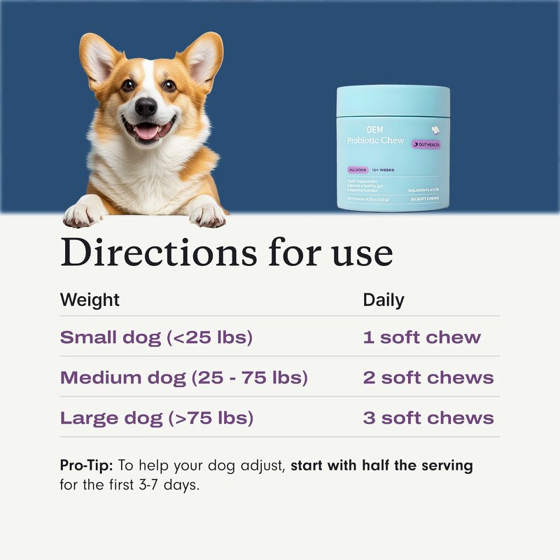Dog Probiotic Chews - Manufacturer - OEM Salmon Flavor Intestinal Digestive Support