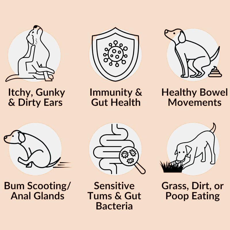 Dog Multivitamin Chews - Manufacturer - Private Label 8-in-1 Probiotic 120 Count