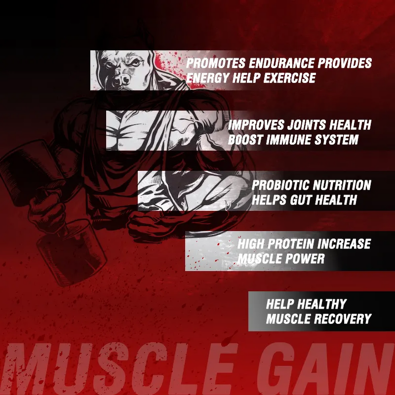 Dog Muscle Supplement - Manufacturer - Customized Healthy Private Label Pet Food