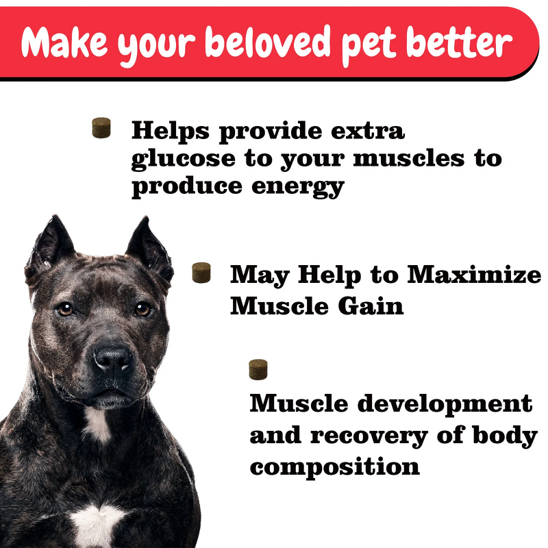 Dog Muscle Supplement - Manufacturer - Customized Healthy Private Label Mascotas