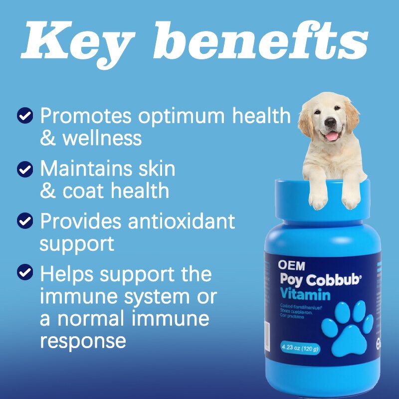 Pet Vitamin C - Manufacturer - OEM Private Label Immune Support for Dogs Cats