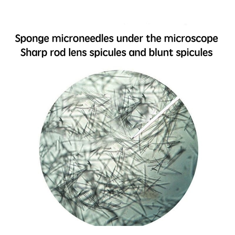 Spongilla Spicules Powder Manufacturer - A Hot Selling Bio Microneedling for Acne