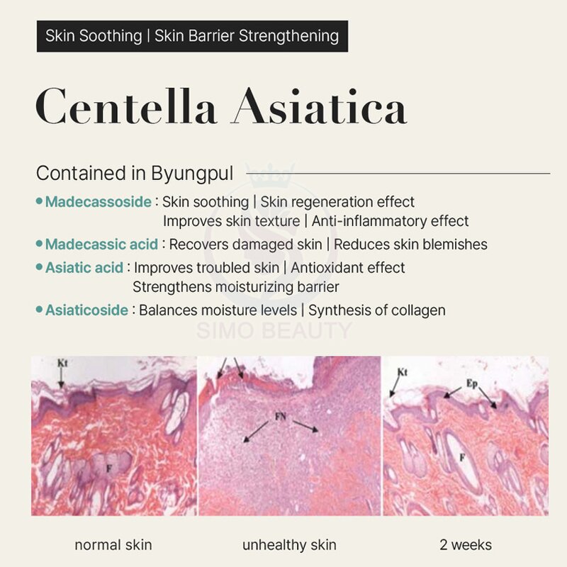 PDRN Salmon Ampoule - Manufacturer - Dermaline EXO Bright Skin Beauty Solution