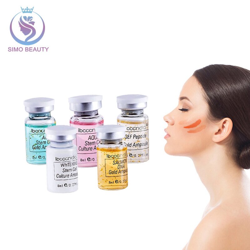 BB Foundation Kit - Manufacturer - Anti Aging Microneedle Skin Care Starter Kit