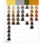 Hair Color Cream Series