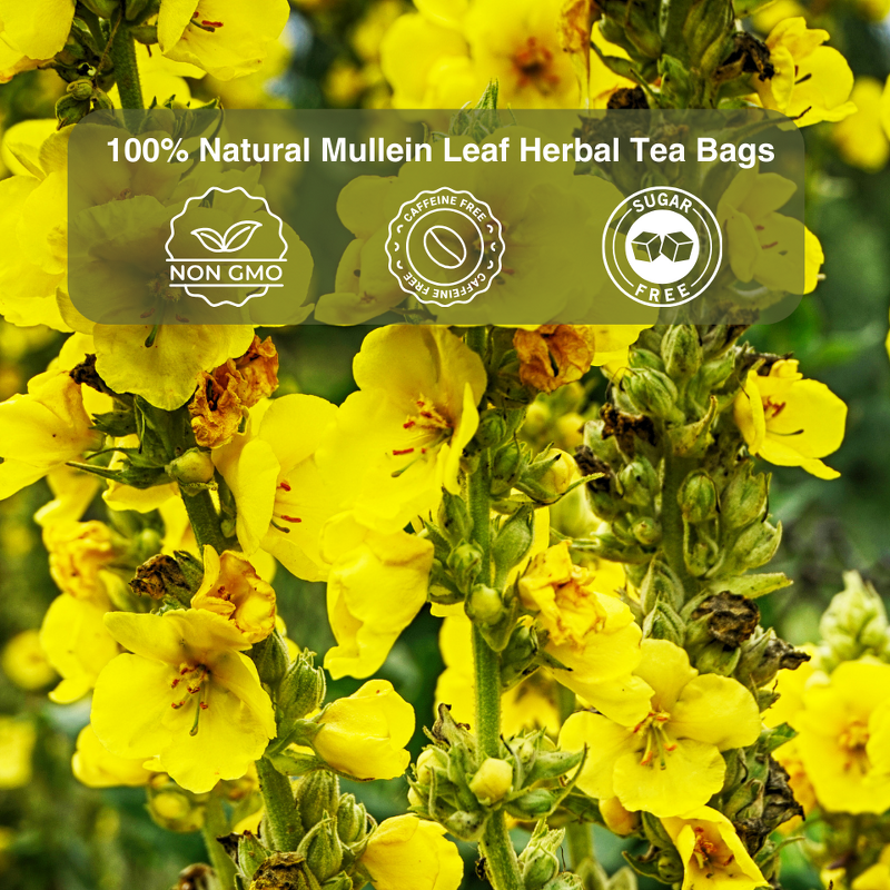 Mullein Flower Tea Manufacturer - OEM Organic Support Blend Fresh Herbal Sachet