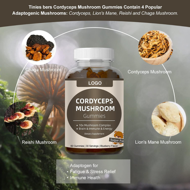 Lion's Mane Gummies Manufacturer - OEM Private Label Ekon Organic Complex for Adults