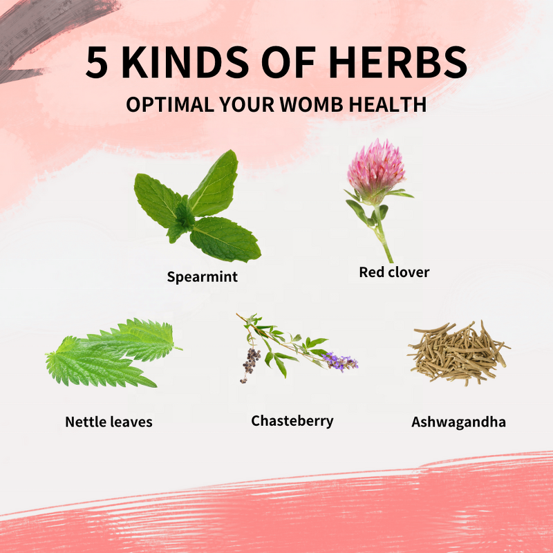 Spearmint Tea Manufacturer - Hormone Balance Tea for Women Health