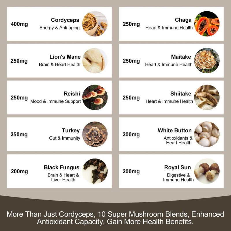 Lion's Mane Gummies Manufacturer - OEM Private Label Ekon Organic Complex for Adults